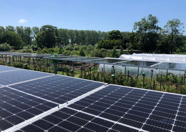 Solar panels installed on the roof of a greenhouse, harnessing renewable energy for sustainable agriculture.