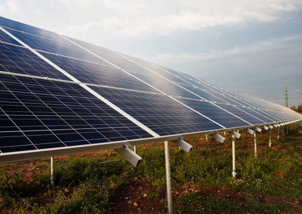 A field of solar panels angled towards the sky, mounted on white stands, with green vegetation growing beneath them and a cloudy sky in the background.